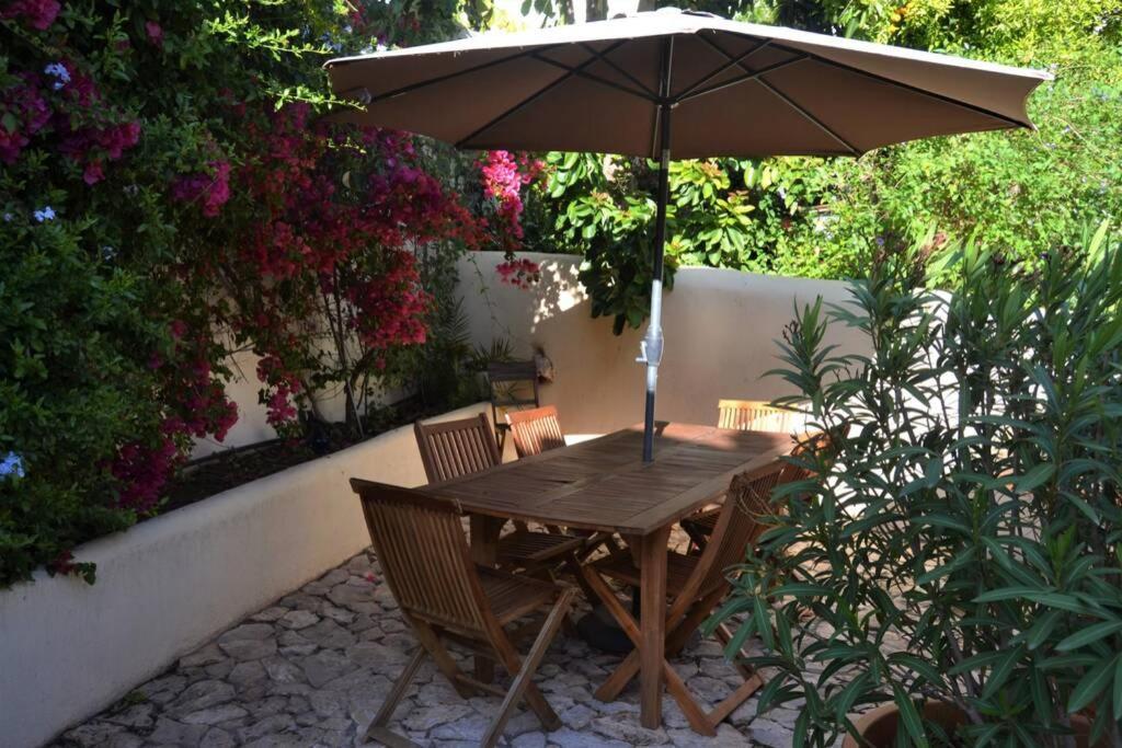 Garden In The City Silves Luaran gambar